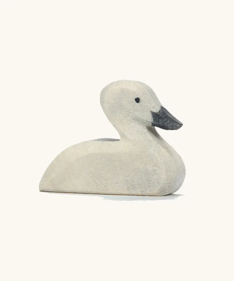 Ostheimer Cygnet 1