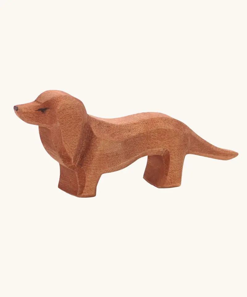 Ostheimer Dachshund 1