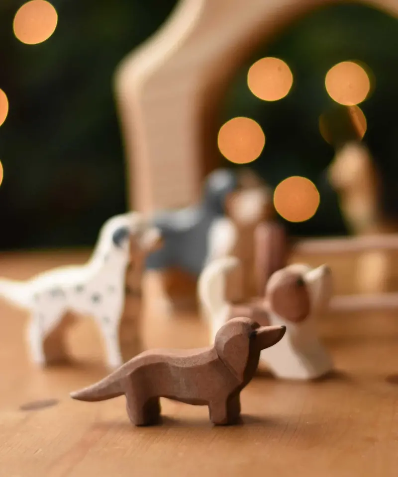 Ostheimer Dachshund 2