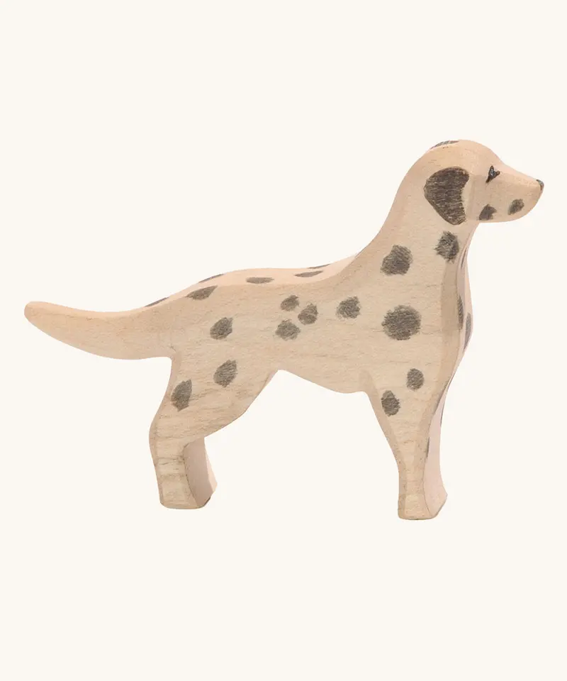 Ostheimer Dalmatian Dog 1