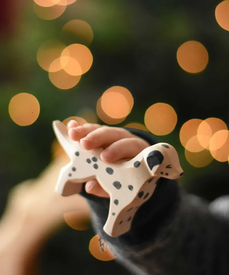 Ostheimer Dalmatian Dog 2
