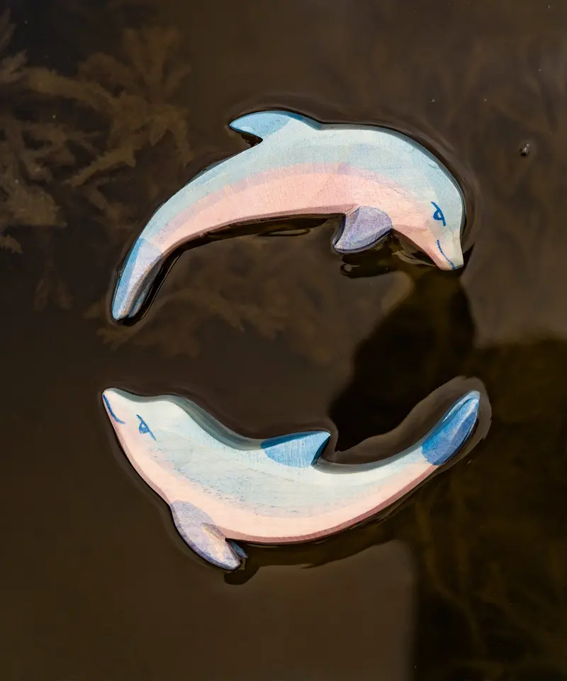 Ostheimer Diving Dolphin 2