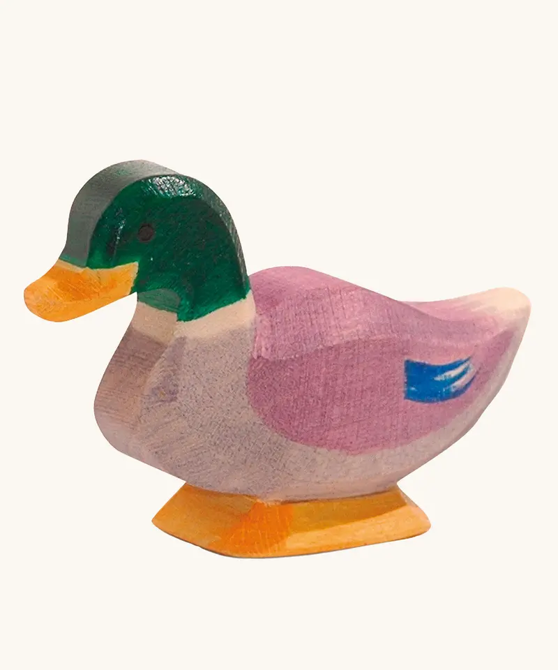 Ostheimer Drake 1