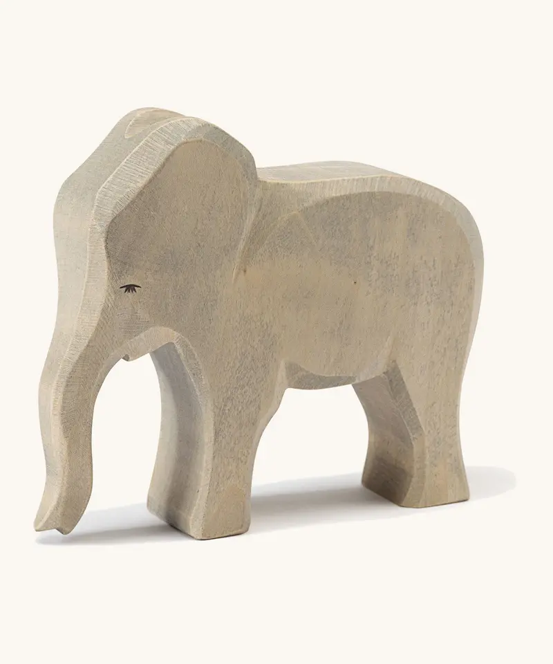 Ostheimer Elephant Female 1