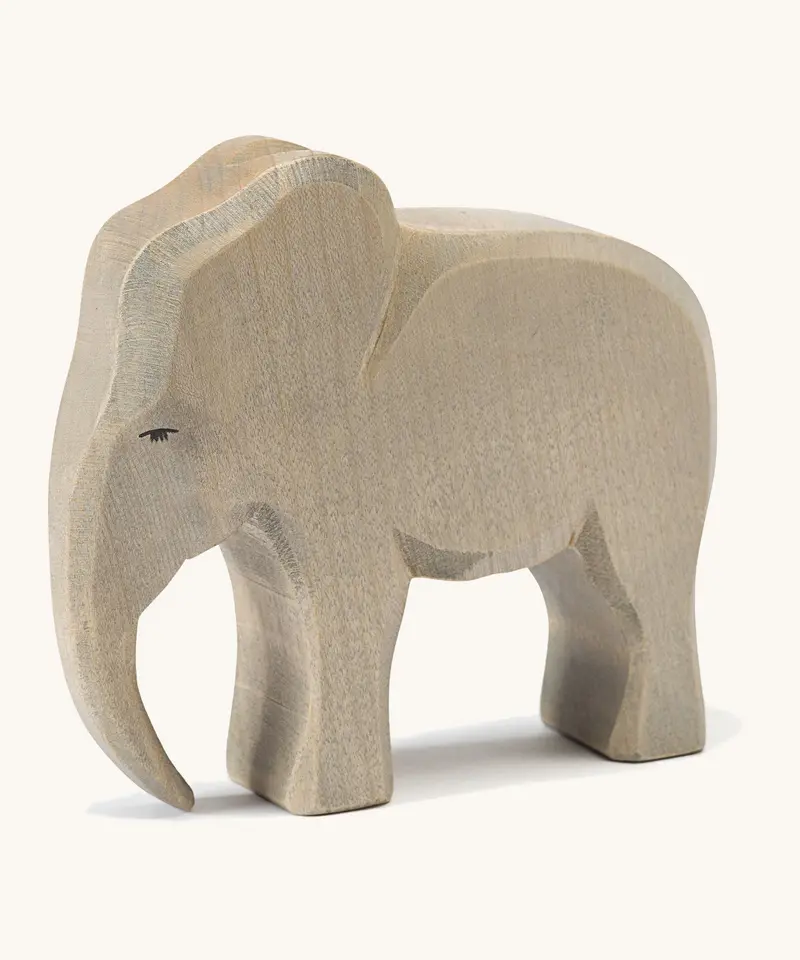 Ostheimer Elephant Male 1