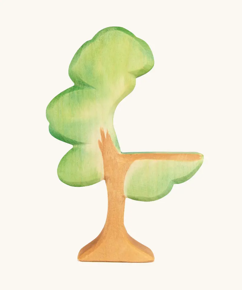 Ostheimer Eucalyptus Tree 1