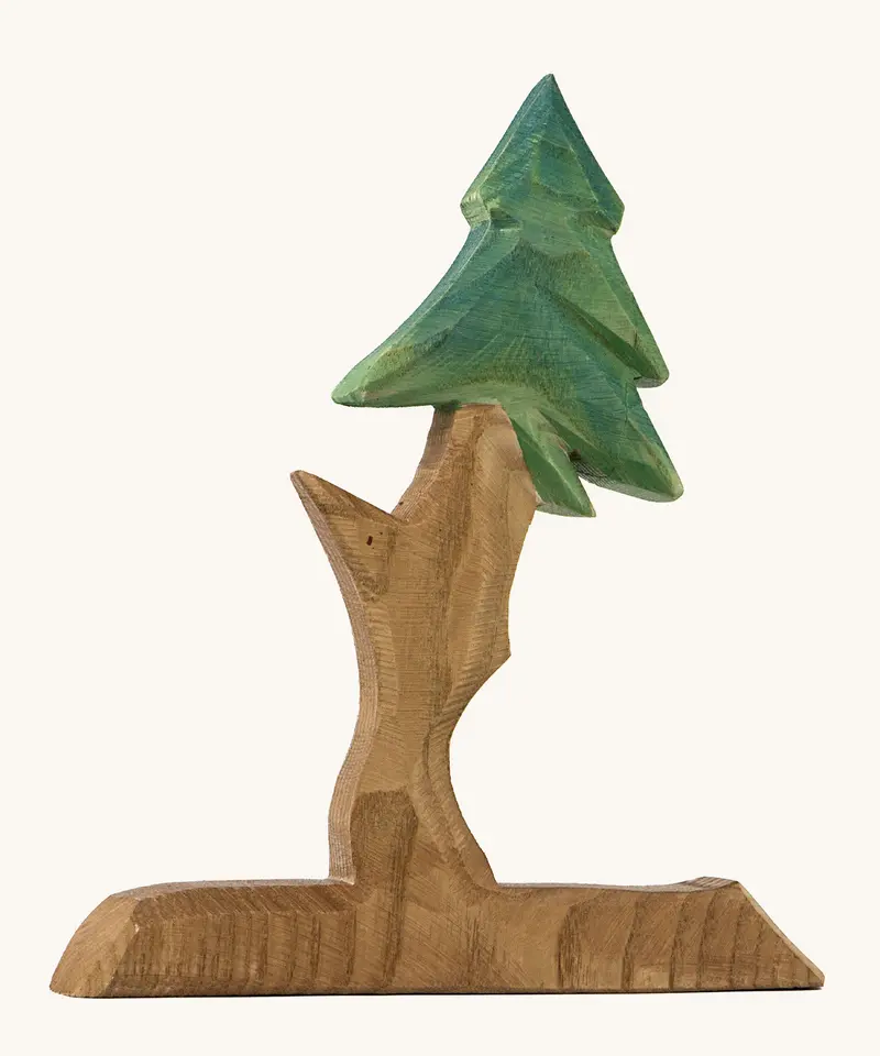 Ostheimer Fir Tree For Dwarves 1