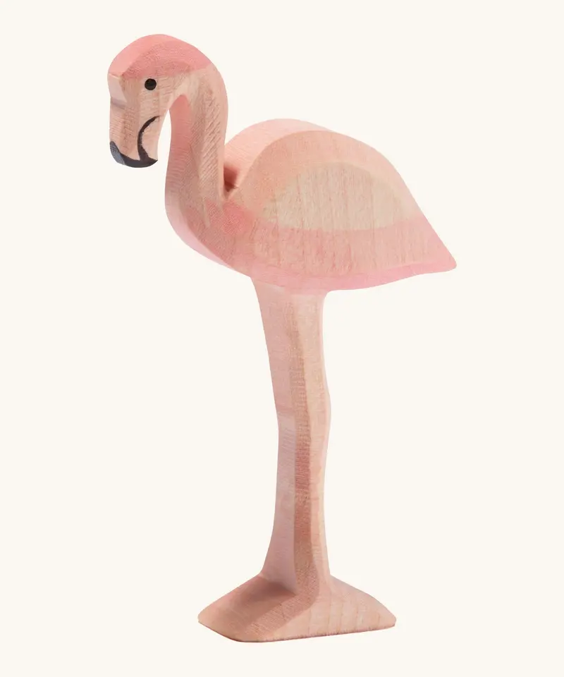 Ostheimer Flamingo 1