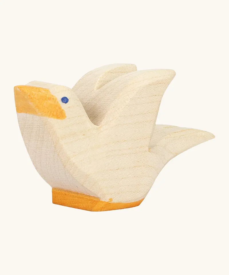 Ostheimer Flying Pigeon 1