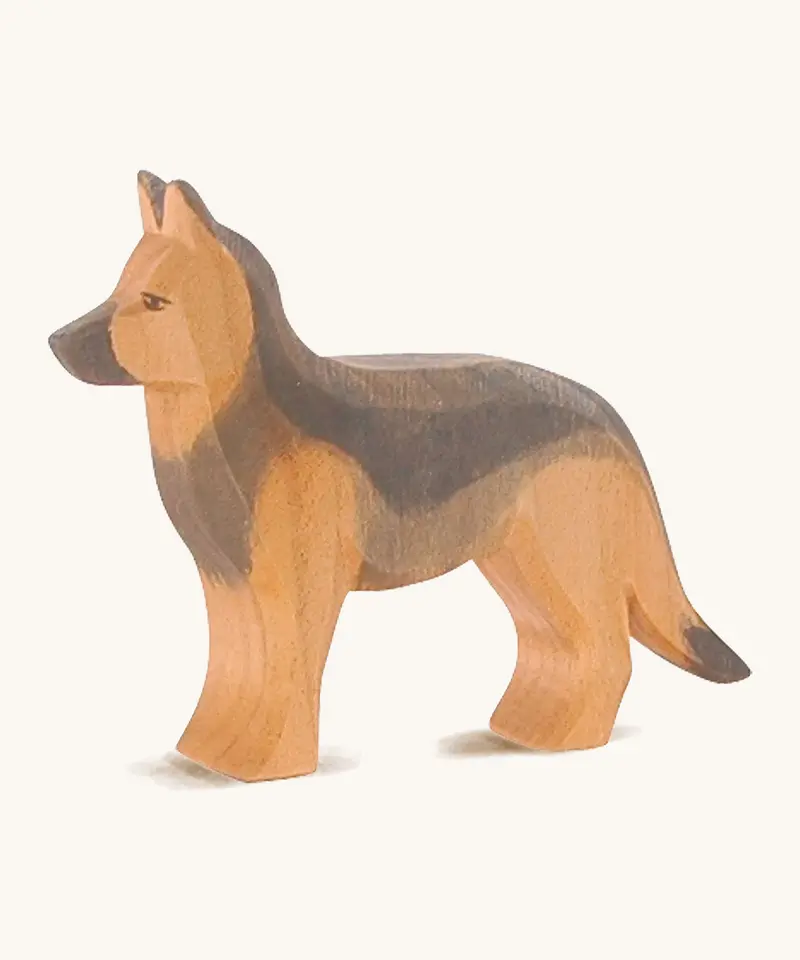 Ostheimer German Shepherd Dog 1