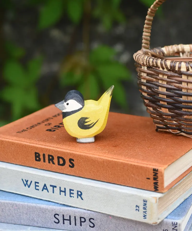 Ostheimer Goldfinch 2