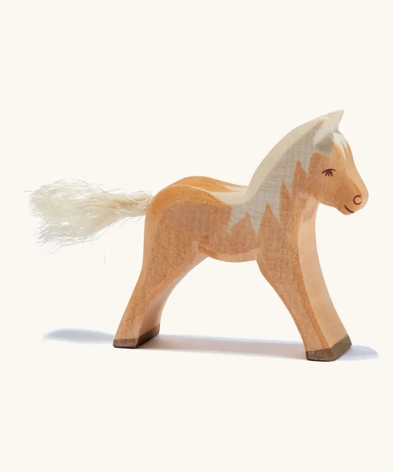 Ostheimer Haflinger Colt 1