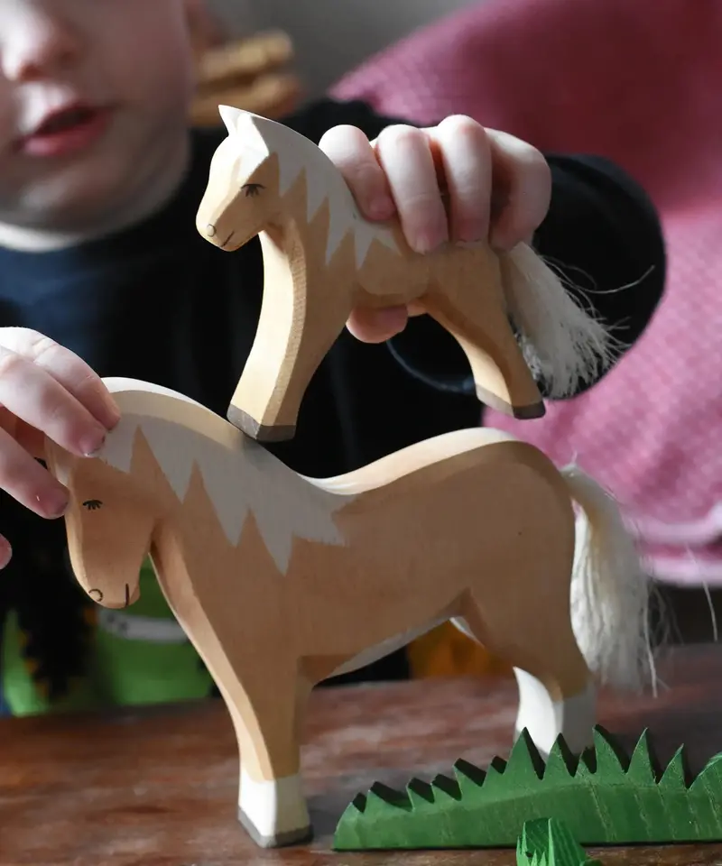 Ostheimer Haflinger Colt 2