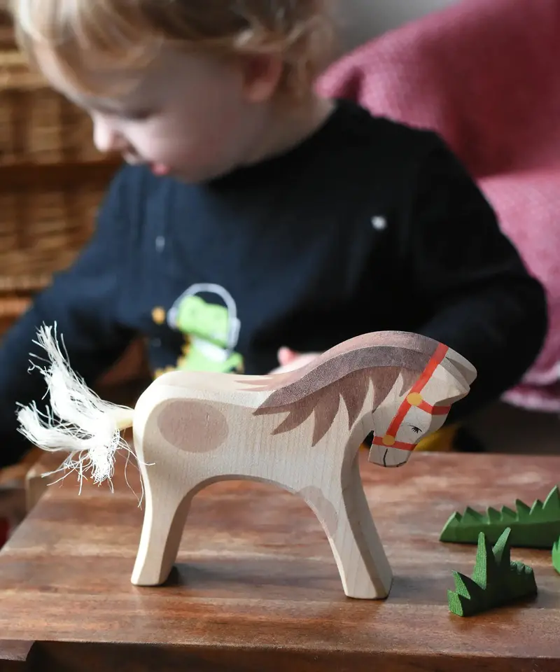 Ostheimer Horse For Rider 2