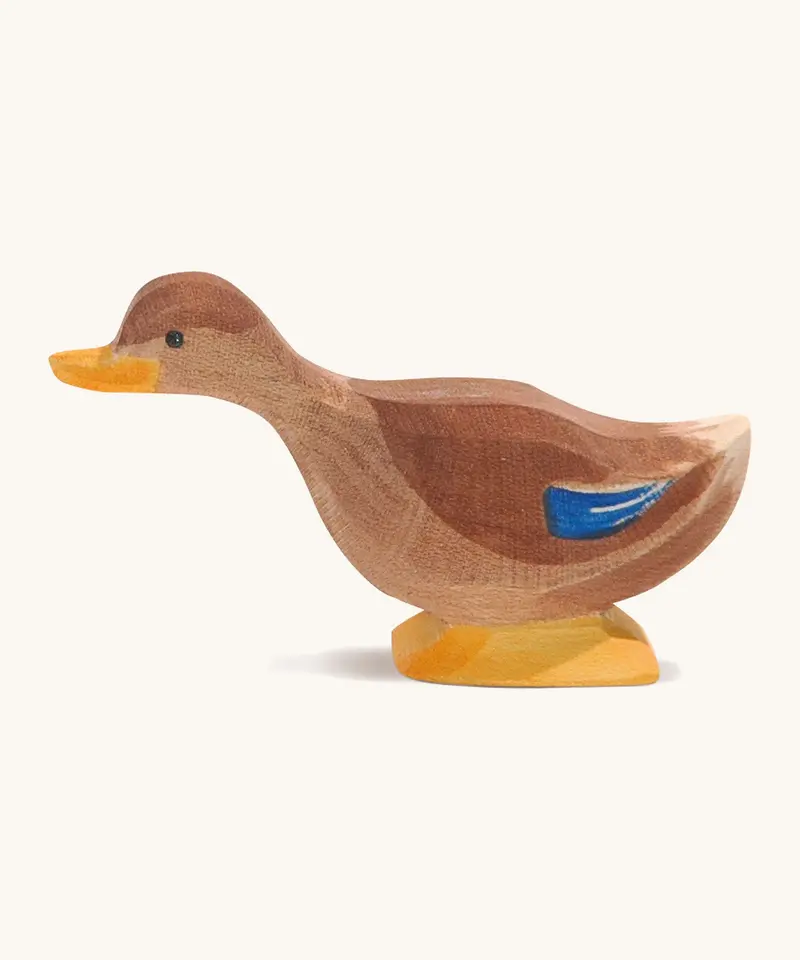Ostheimer Long Neck Duck 1
