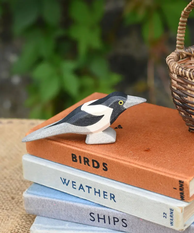 Ostheimer Magpie 2