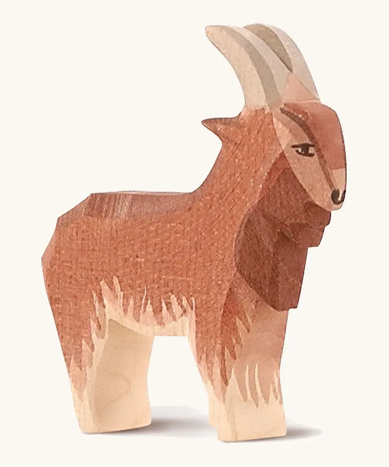 Ostheimer Male Goat 1