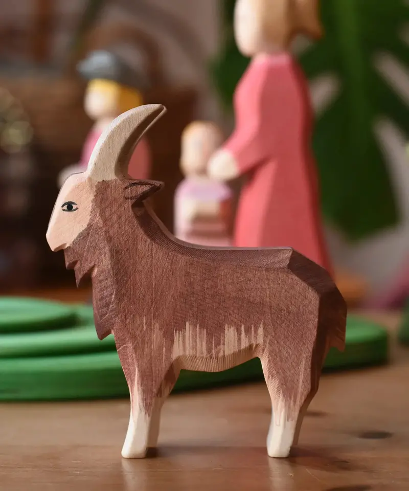 Ostheimer Male Goat 2