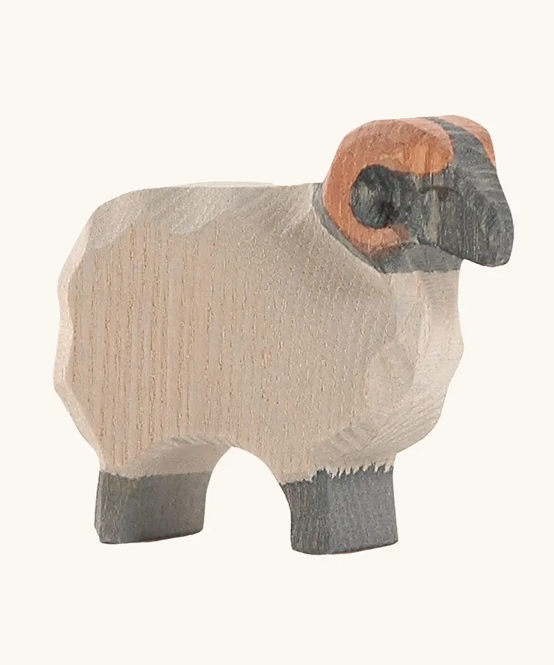 Ostheimer Moorland Ram 1