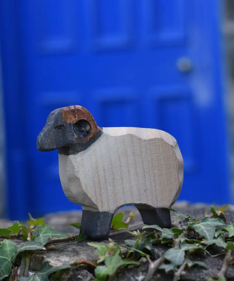 Ostheimer Moorland Ram 2