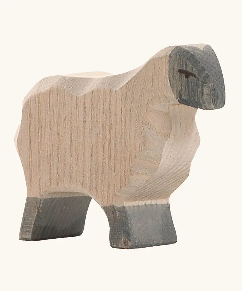 Ostheimer Moorland Sheep 1