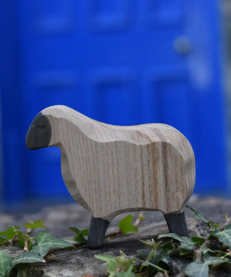 Ostheimer Moorland Sheep 2