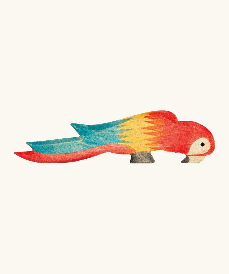 Ostheimer Multicoloured Parrot 1