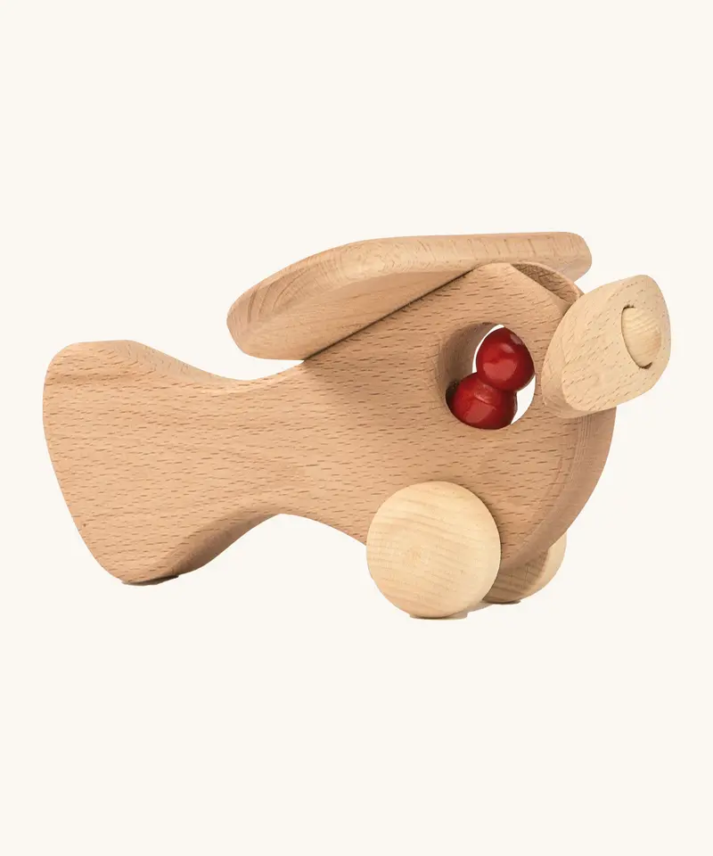 Ostheimer Natural Plane With 1 Person 1