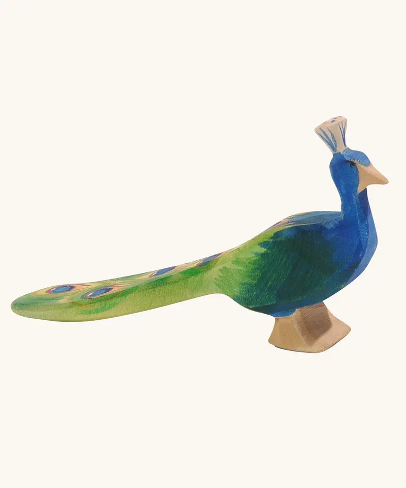 Ostheimer Peacock 1