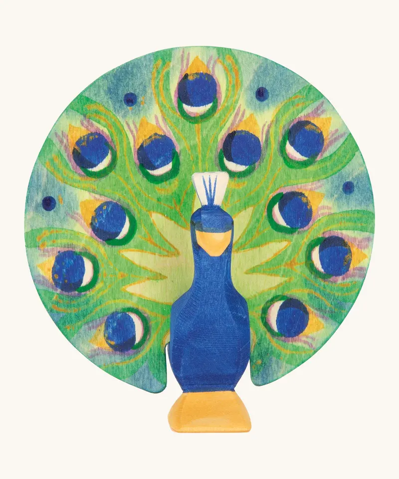 Ostheimer Peacock Open 1