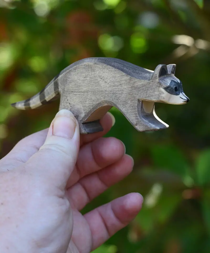 Ostheimer Raccoon Running 2