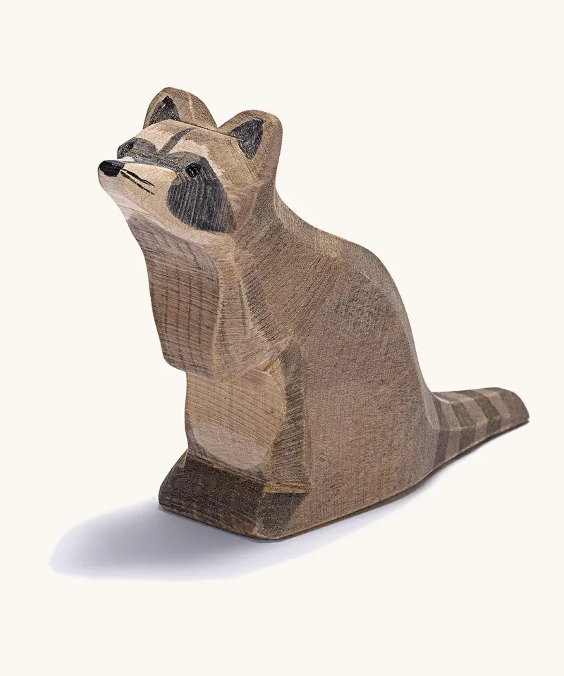Ostheimer Raccoon Sitting 1