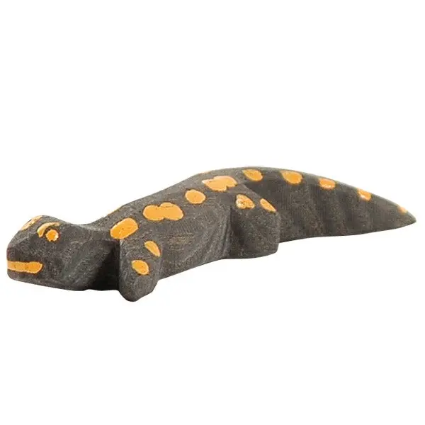 Ostheimer Salamander 1