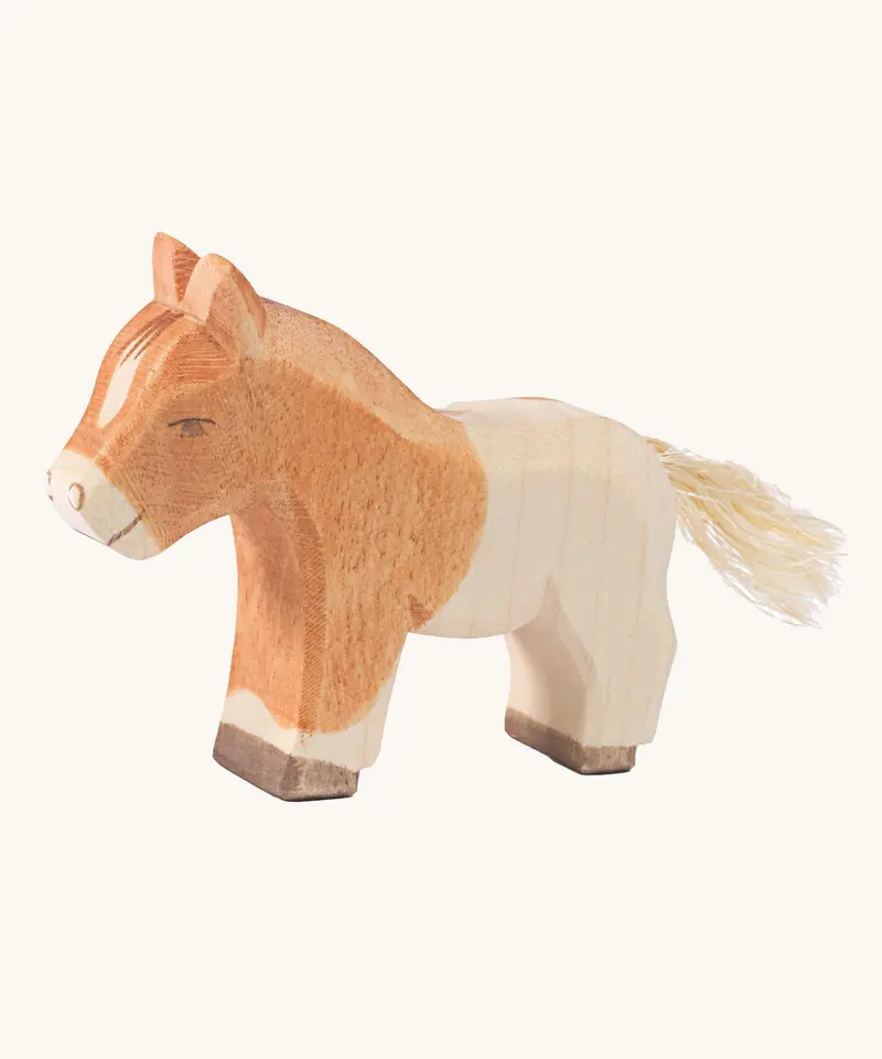 Ostheimer Shetland Colt 1