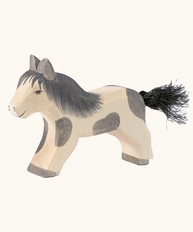 Ostheimer Shetland Pony Running 1