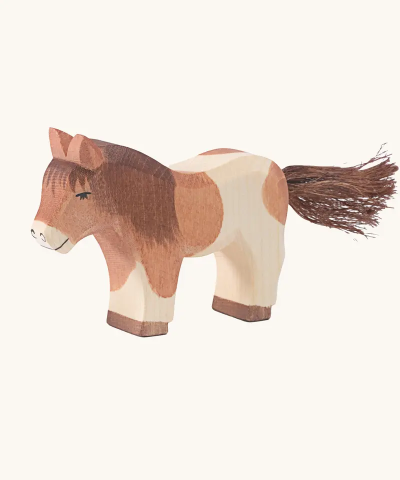 Ostheimer Shetland Pony Standing 1