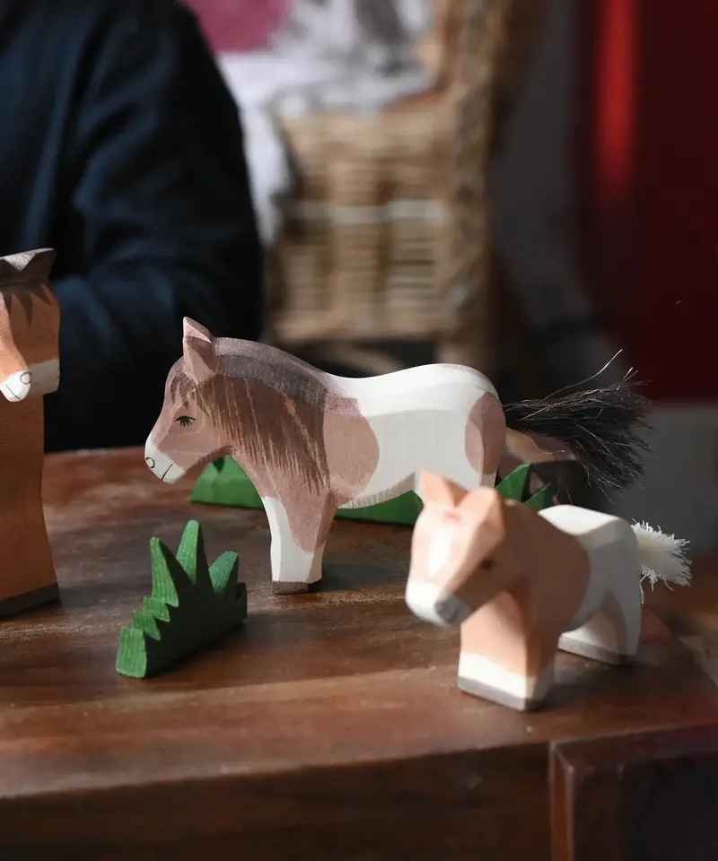 Ostheimer Shetland Pony Standing 2