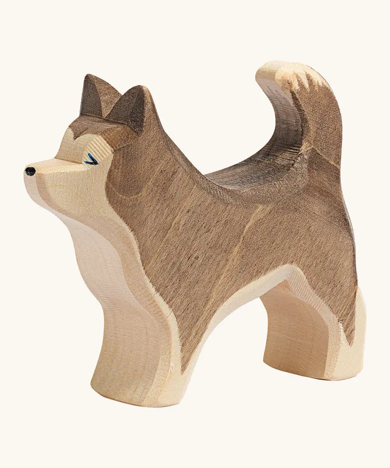 Ostheimer Sled Dog Standing 1