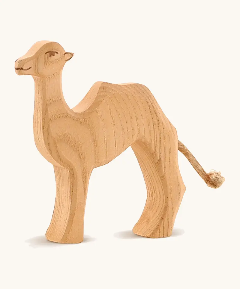 Ostheimer Small Camel 1