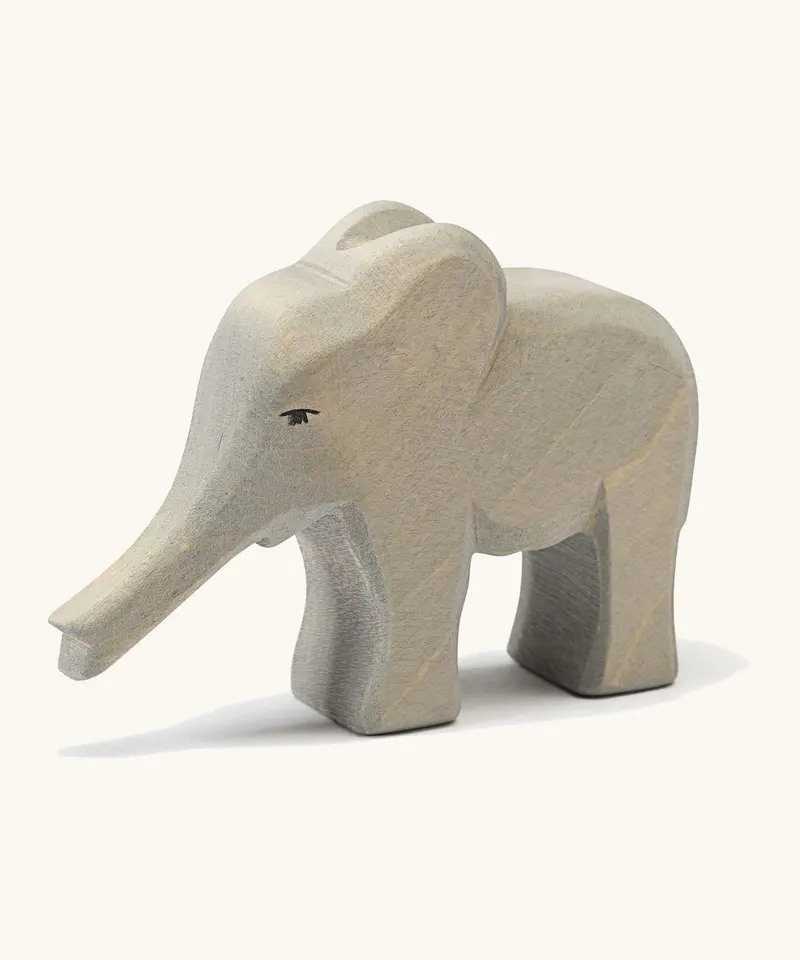 Ostheimer Small Elephant Trunk Out 1