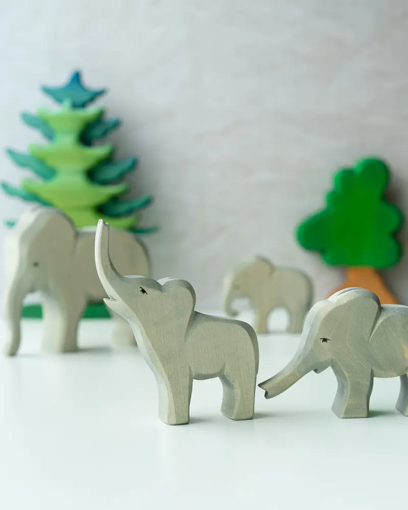 Ostheimer Small Elephant Trunk Out 2