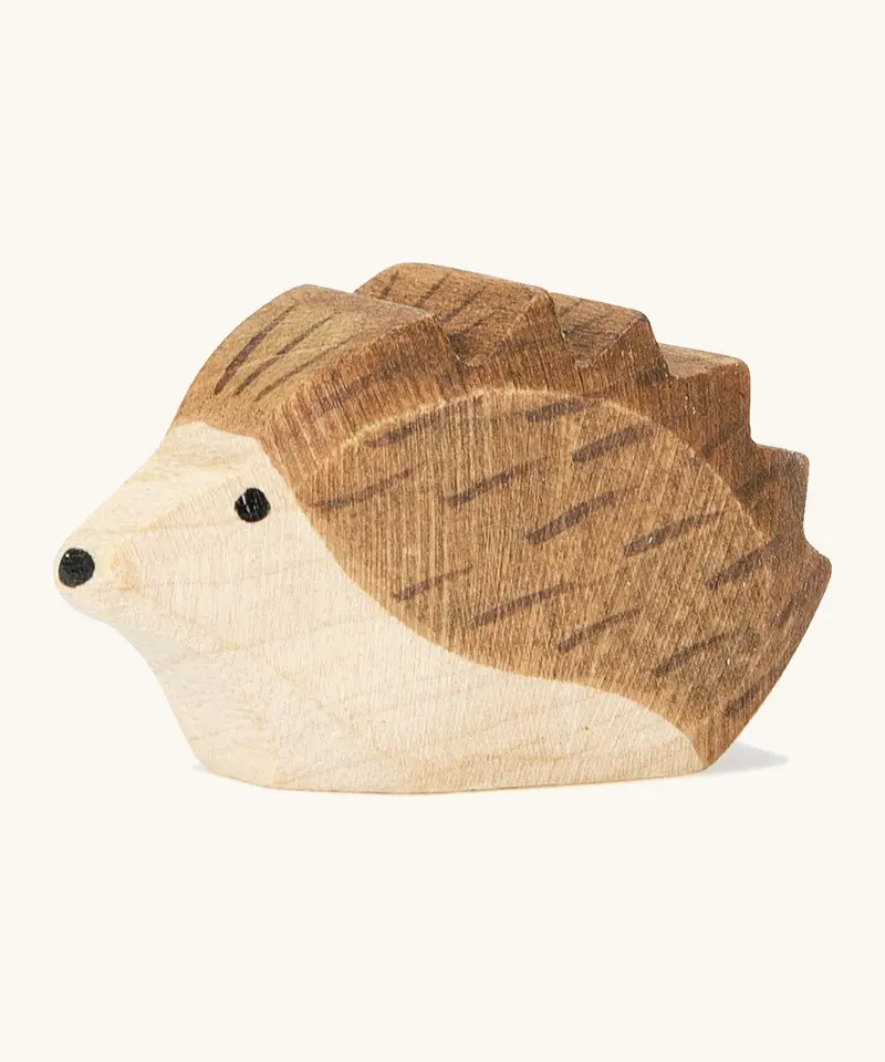 Ostheimer Small Hedgehog 1