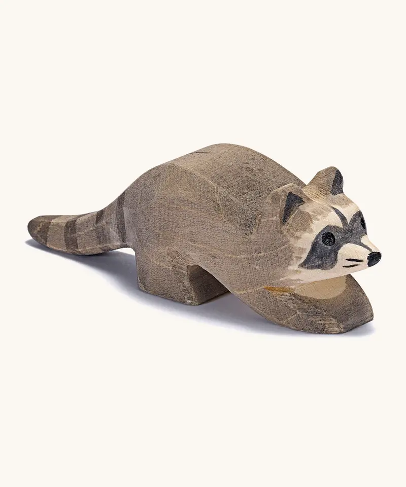 Ostheimer Small Raccoon 1