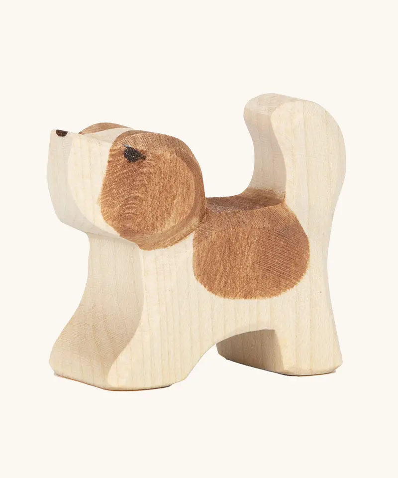 Ostheimer Small St Bernard, Head High 1