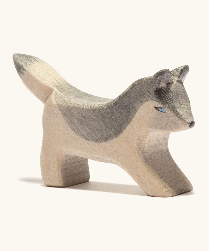 Ostheimer Small Wolf Playing 1