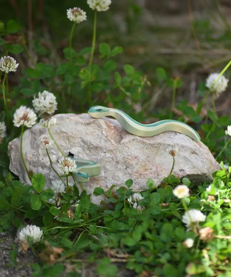 Ostheimer Snake 2