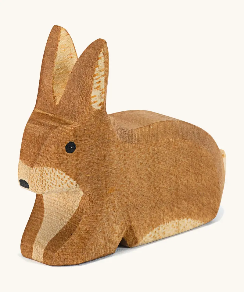 Ostheimer Spotted Brown Rabbit - Sitting 1