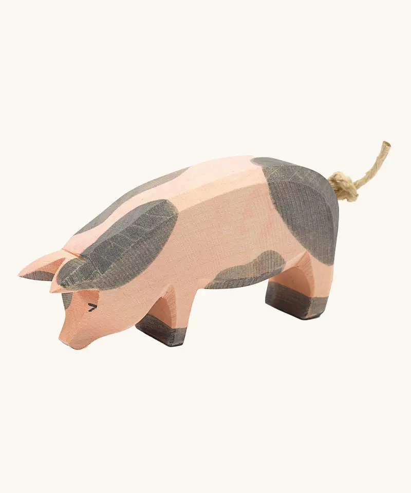 Ostheimer Spotted Pig Head Low 1