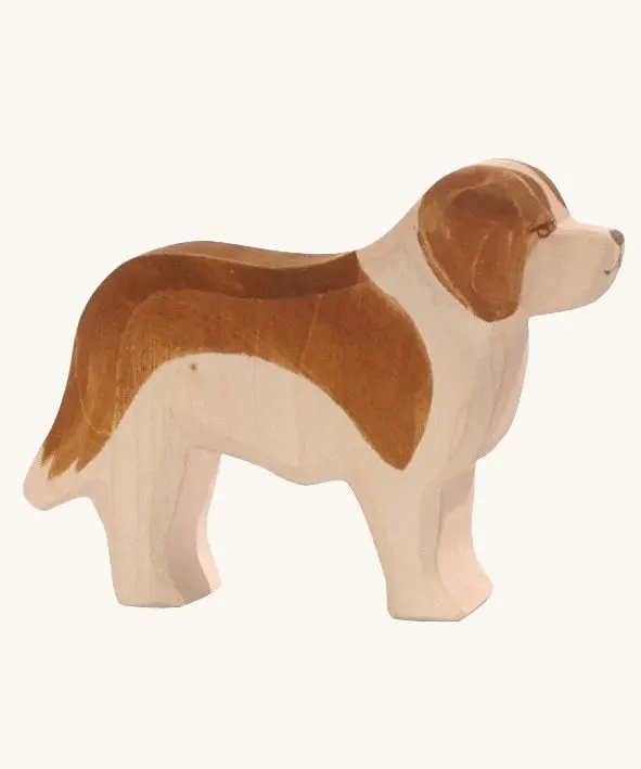 Ostheimer St Bernard Dog 1