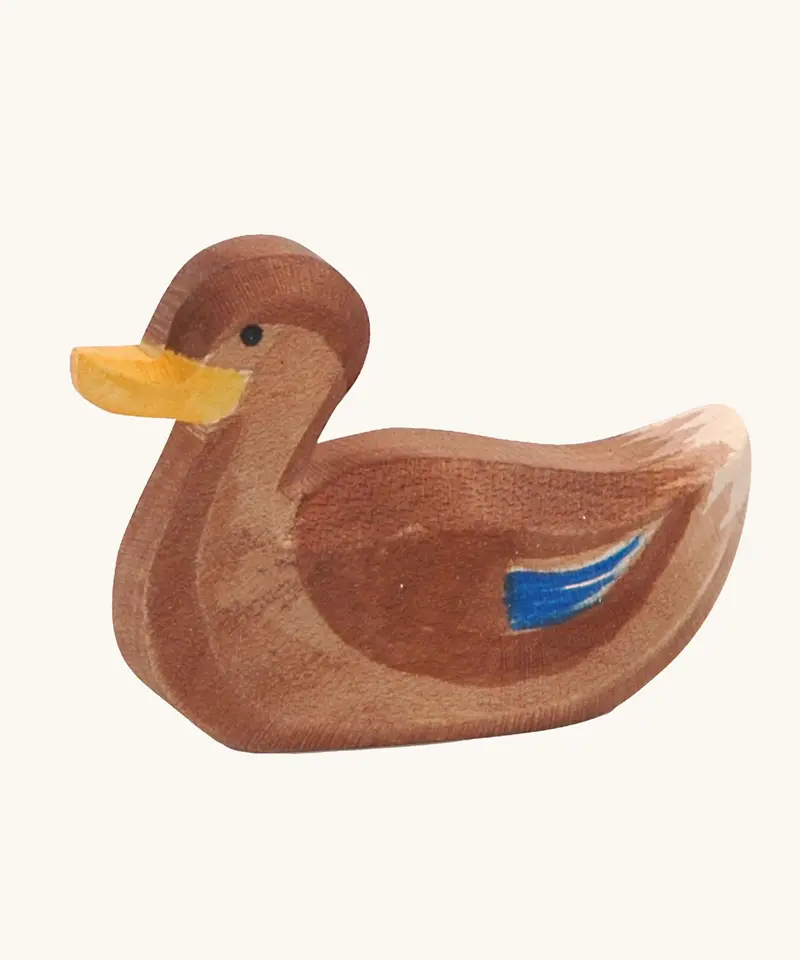 Ostheimer Swimming Duck 1